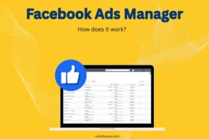 What Is Facebook Ads Manager and How Does It Work? – by NetSoftwares